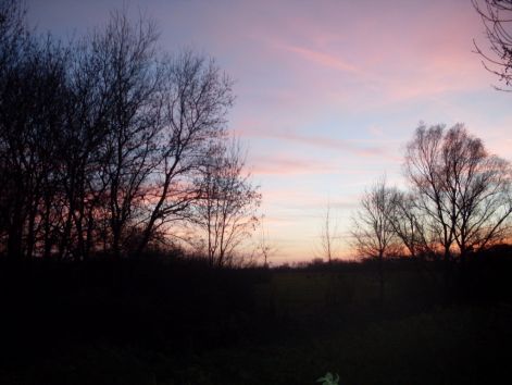 sdc10544.jpg